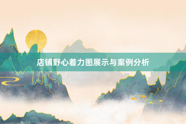 店铺野心着力图展示与案例分析