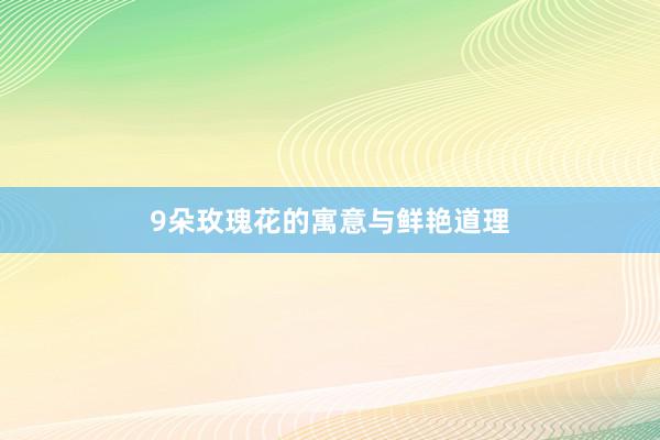 9朵玫瑰花的寓意与鲜艳道理