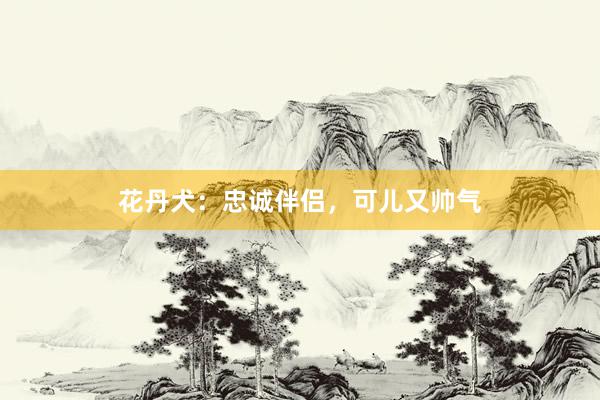 花丹犬：忠诚伴侣，可儿又帅气