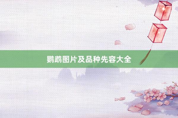 鹦鹉图片及品种先容大全